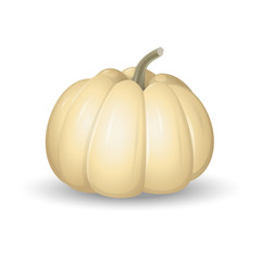 White pumpkin - cartoon vector illustration isolated on white background