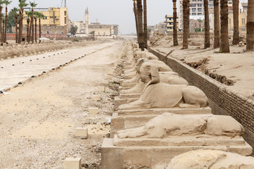 Avenue of Sphinxes in Luxor Temple, Luxor, Egypt