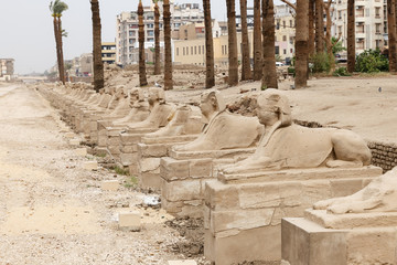 Avenue of Sphinxes in Luxor Temple, Luxor, Egypt