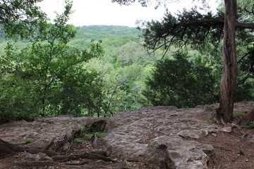Fototapeta premium forest overlook