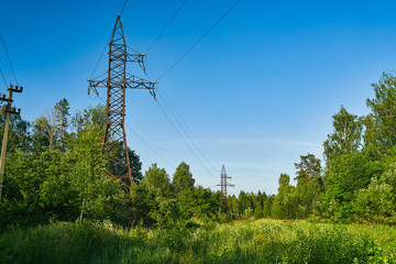 Obraz premium Old rusty power line in the forest under clear blue sky