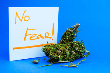 Medical cannabis concept. Flowers buds of marijuana and paper sheet labeled with a marker No fear....