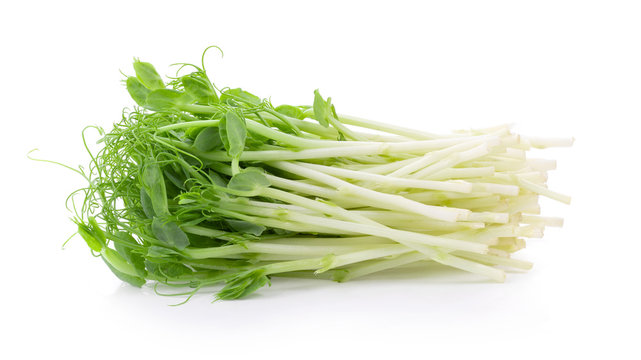 Snow pea sprouts on white background. full depth of field