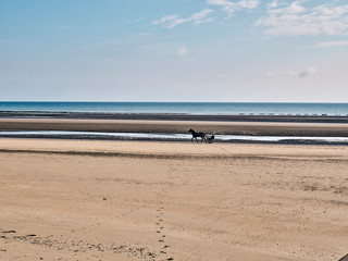 Utah Beach Strand Normandie Frankreich