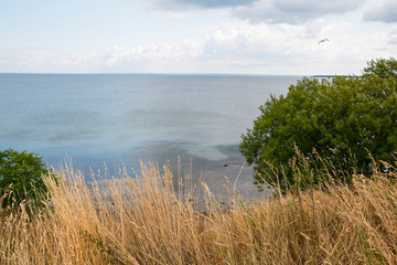 Baltic Sea - a seashore landscape behind Boltenhagen, Germany