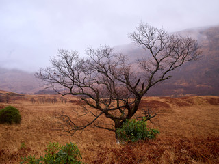Glen Etive Highlands Schottland im Winter