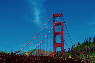 Fototapeta premium Golden Gate Bridge