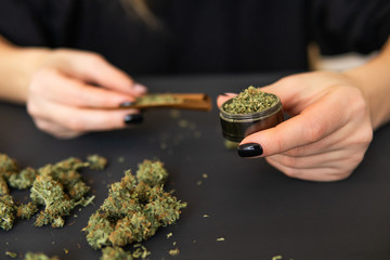 Close up of marijuana blunt with grinder. Woman preparing and rolling marijuana cannabis joint....