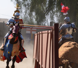 Renaissance joust