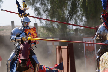 Renaissance joust