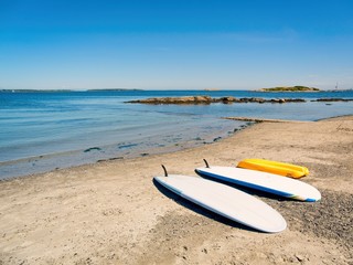 Surfboards on the beach