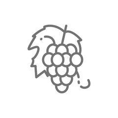 Bunch of grapes, fruit line icon.