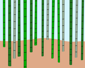 Drawing of a bamboo forest, vector illustration