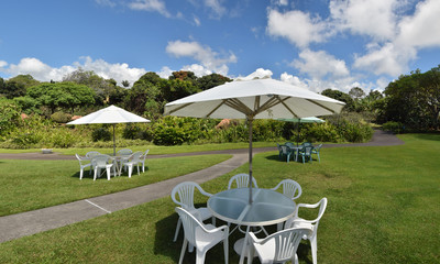Peaceful lawn on a Hawaiian island