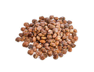 Nuts seed isolated on white background