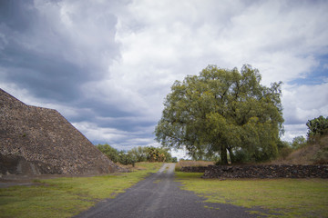 PAISAJE