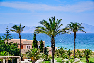 Palm trees on the beach on Kos island in Greece
