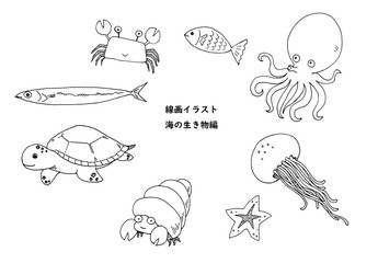 海の生き物イラスト
