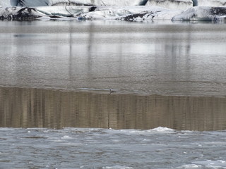 GLACIAR DE ISLANDIA CALENTAMIENTO GLOBAL 