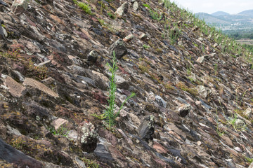 PAISAJE