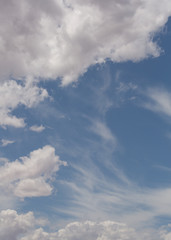 Fototapeta premium Layers of clouds form curving patterns on a blue sky.