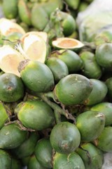 Betel palm with nature at street food