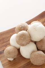 Fototapeta na wymiar Freshness white and brown mushroom