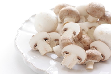Freshness white and brown mushroom