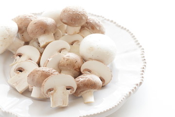 Fototapeta na wymiar Freshness white and brown mushroom