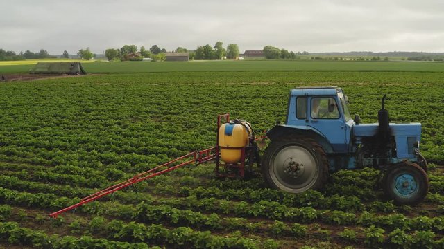 Aerial shot following on the side a tractor spraying strawberry field against diseases