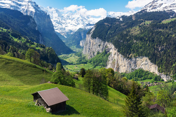 Countryside, green grassland, pine forest, a house and Alps mountain range in summer at Lauterbrunnen,  Switzerland
