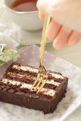 Chocolate cake on dish with copy space