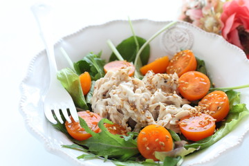 Homemade chicken and vegetable with sesame seed dressing salad