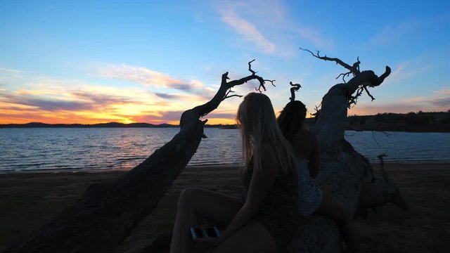 Dolly shot towards girls sitting on a fallen tree, at the beach, watching the sunset, at lake Huma, on a sunny evening, at Hume Reservoir, at New South Wales and Victoria, in Australia