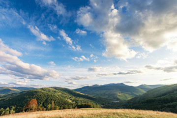 beautiful mountain landscape in the evening. trees on the edge of a meadow in weathered grass. mountain ridge with high peaks in the distance. sunny weather with clouds in early autumn