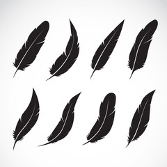 Vector group of black feather on white background. Easy editable layered vector illustration.