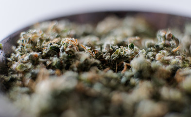 ground marijuana buds on a metal grinder. Ground Cannabis Flowers Before Use