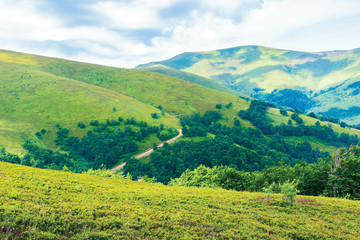 wonderful summer landscape in mountain. green grassy slopes of alpine meadows covered in european...