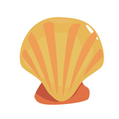 scallop sea shell on white background