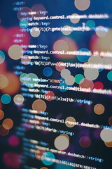 Programmer developer screen, web app coding. Script on computer. Modern display of data source...