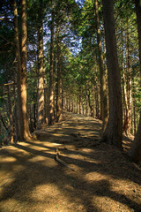 塔ノ岳 04