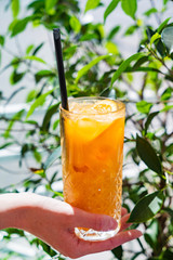 summer lemonade with fresh fruits