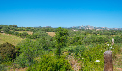 Fototapeta na wymiar Scenic landscape of green hills and rocky mountains of the island of Sardinia in spring