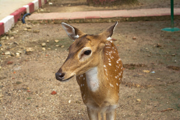 Get me a picture of mine