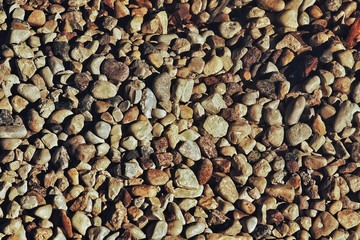 Small Oyster Pearl Pebbles background