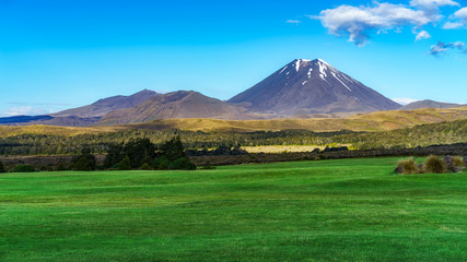 Naklejka premium cone volcano,mount ngauruhoe,tongariro,new zealand 4