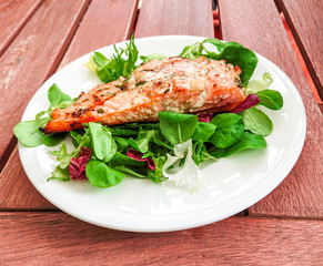 Grilled salmon fillet with fresh green salad