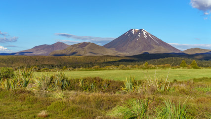 Fototapeta premium cone volcano,mount ngauruhoe,tongariro,new zealand 23