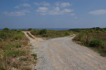 南国沖縄の田舎の海へ続く分かれ道