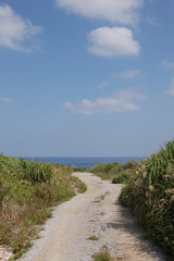 Fototapeta na wymiar 南国沖縄の田舎の海へ続く道